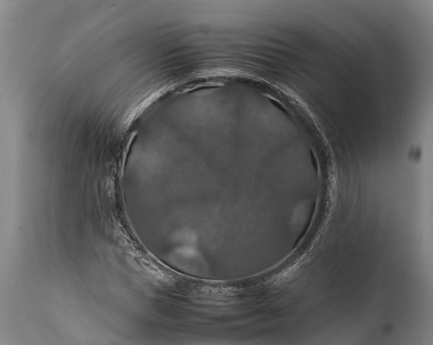 X0000112010921200908171439