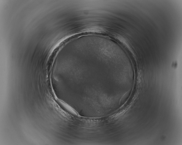 X0000112010923200908171439