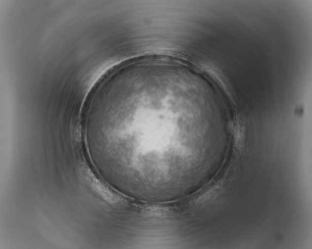 X0000112010924200908171439