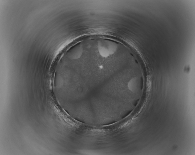 X0000112010925200908171439