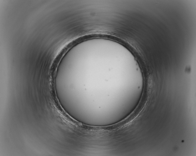 X0000112010926200908171439