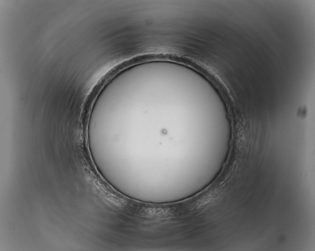 X0000112010927200908171439