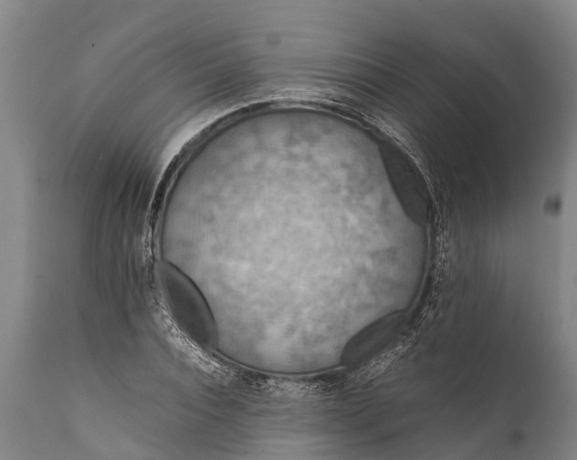 X0000112010928200908171439