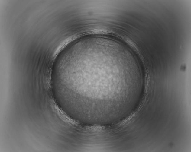 X0000112010930200908171439