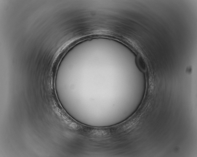 X0000112010931200908171439