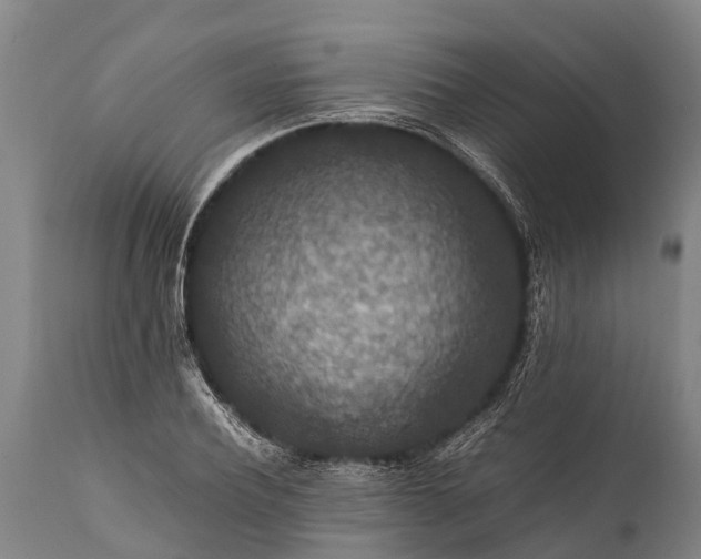 X0000112010932200908171439