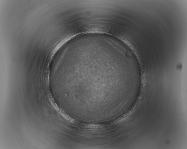 X0000112010933200908171439