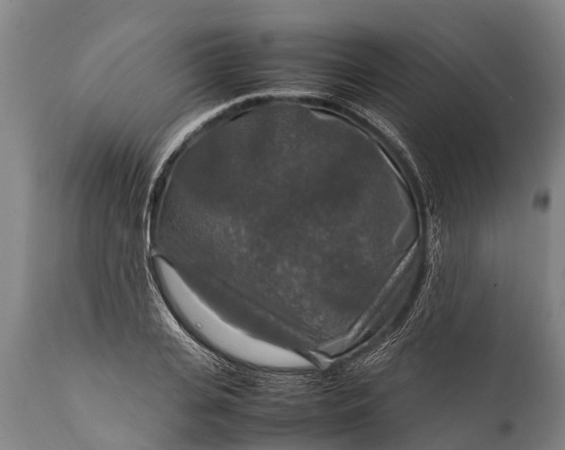 X0000112010935200908171439