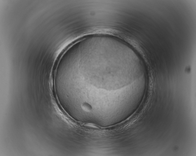 X0000112010936200908171439