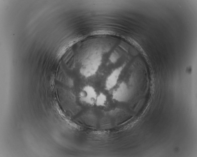 X0000112010937200908171440