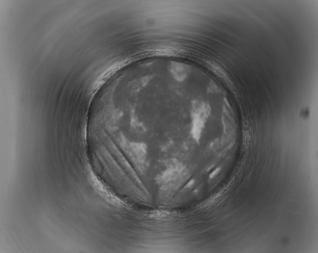 X0000112010938200908171440