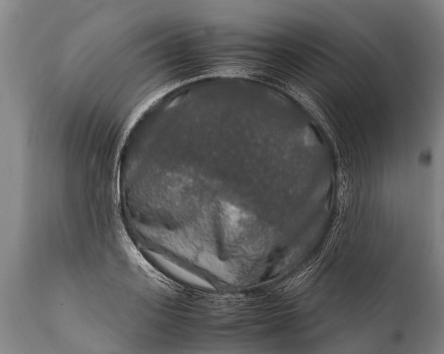 X0000112010939200908171440