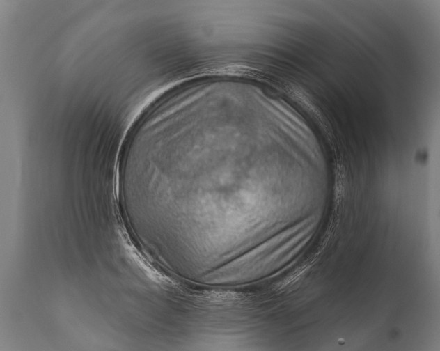 X0000112010940200908171440