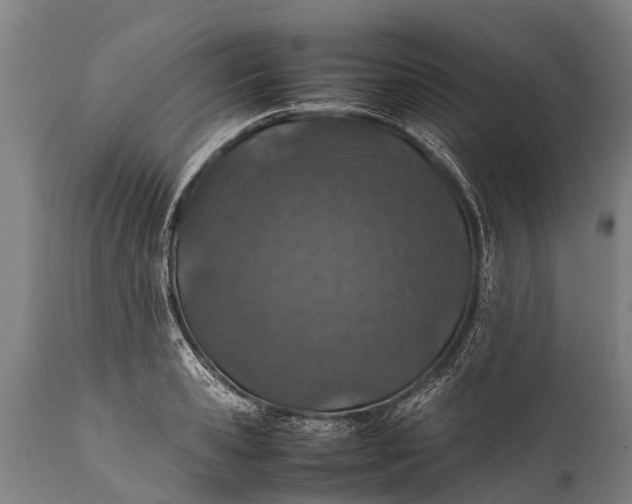 X0000112010941200908171440