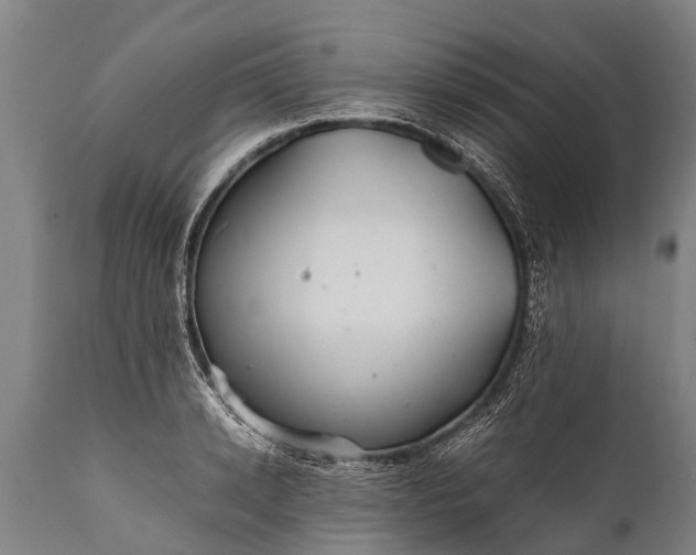 X0000112010942200908171440