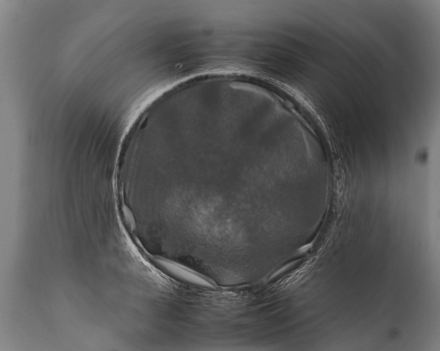 X0000112010943200908171440