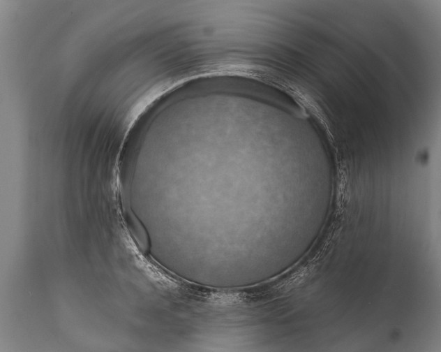 X0000112010944200908171440