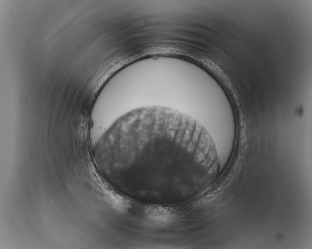 X0000112010945200908171440