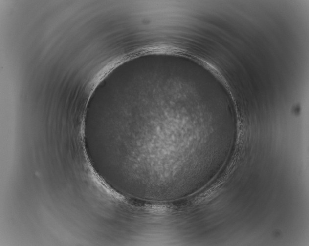 X0000112010946200908171440