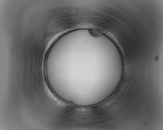 X0000112010947200908171440