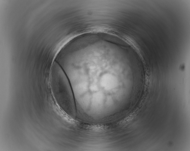 X0000112010948200908171440