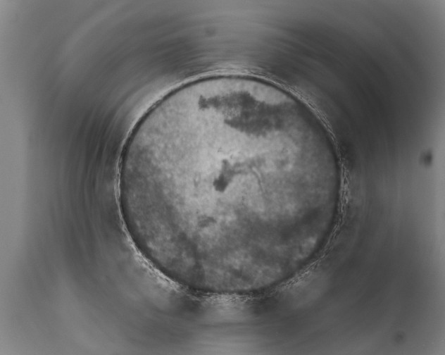 X0000112010950200908171440