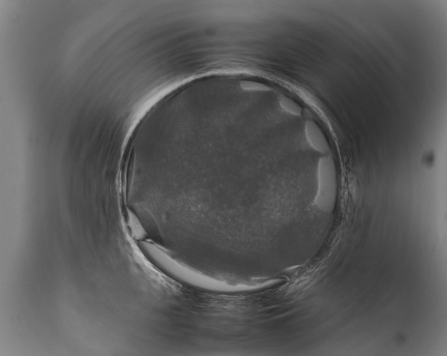 X0000112010951200908171440