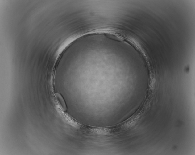 X0000112010952200908171440