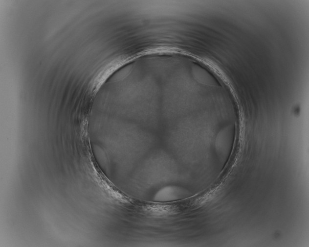 X0000112010953200908171440