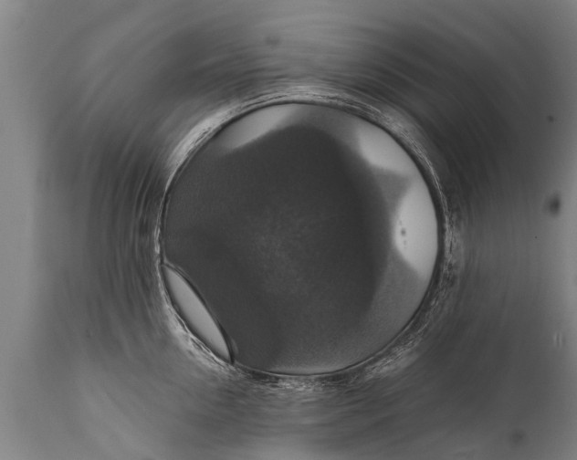 X0000112010954200908171440