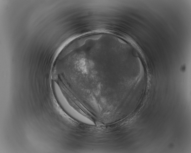 X0000112010955200908171440