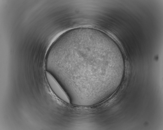 X0000112010956200908171440