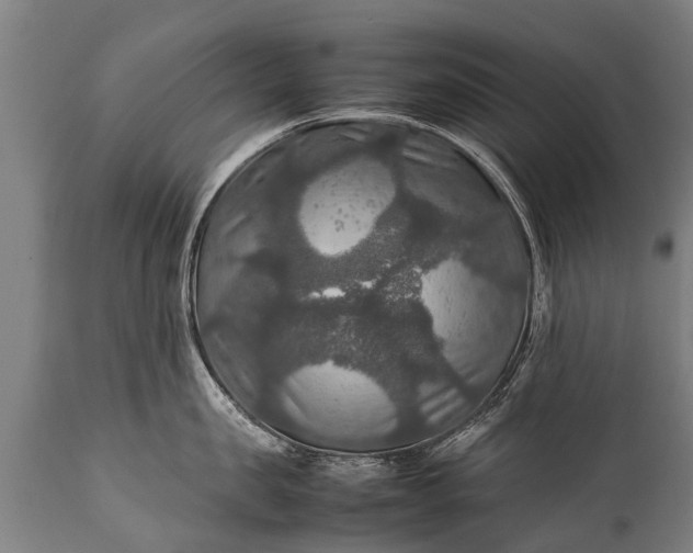 X0000112010957200908171440