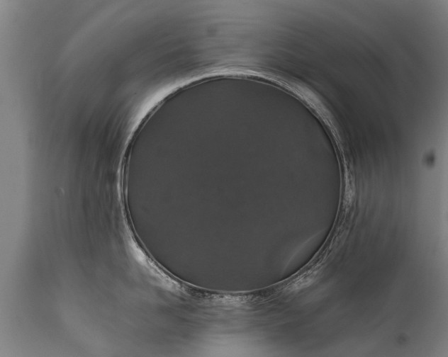 X0000112010958200908171440