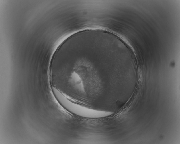 X0000112010959200908171440