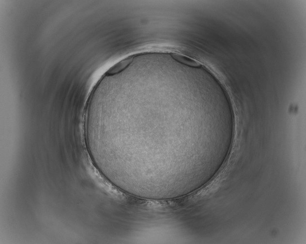 X0000112010960200908171440