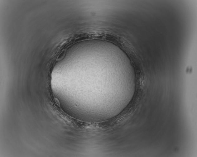 X0000112010961200908171439