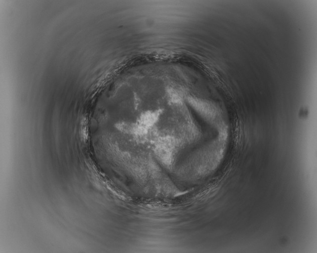 X0000112010962200908171439