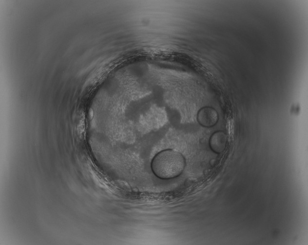 X0000112010963200908171439