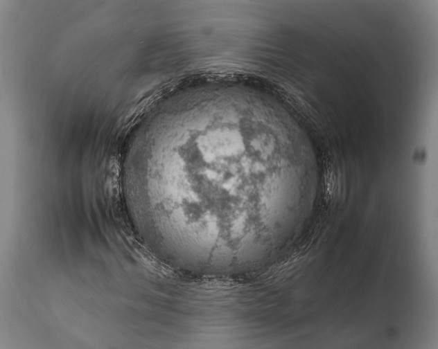 X0000112010964200908171439