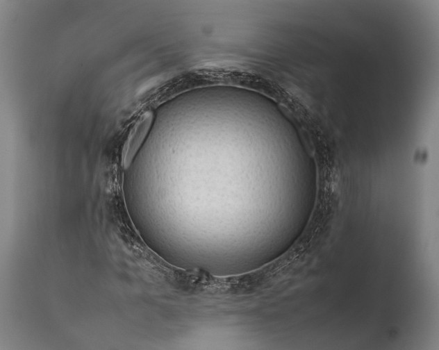 X0000112010965200908171439