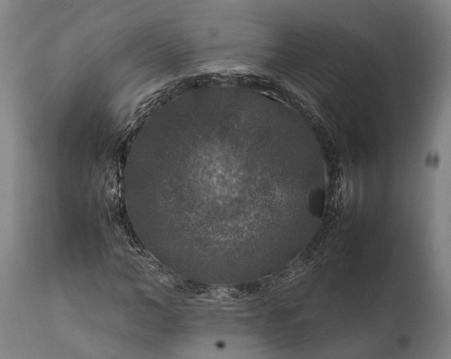 X0000112010966200908171439