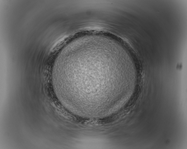 X0000112010967200908171439