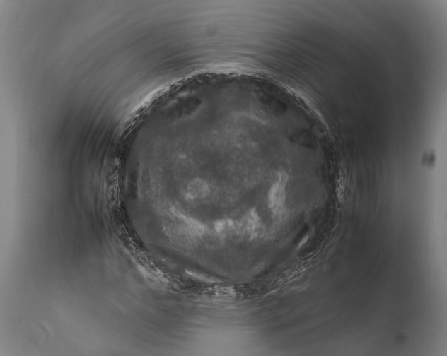 X0000112010968200908171439