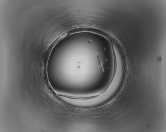 X0000112010969200908171439