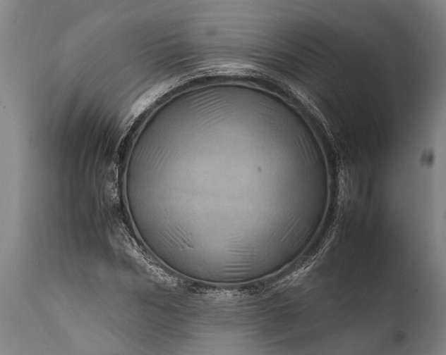 X0000112010970200908171439