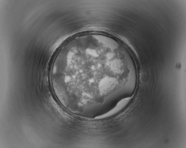 X0000112010972200908171439