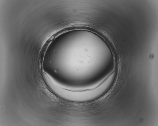 X0000112010973200908171439