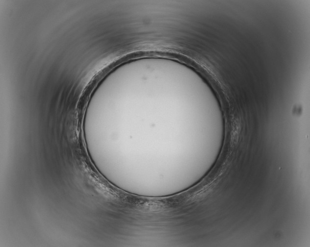 X0000112010974200908171439