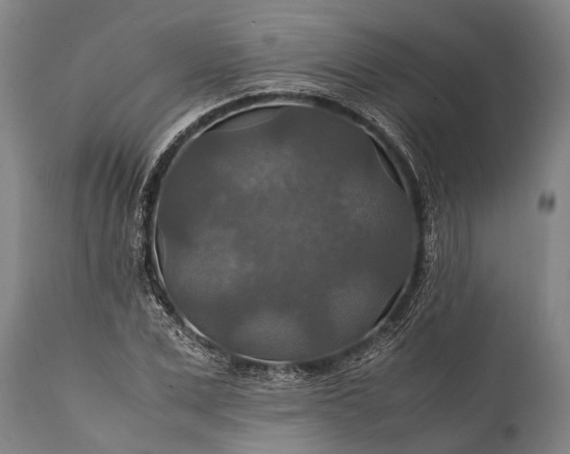 X0000112010975200908171439